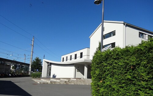Frohbotinnen