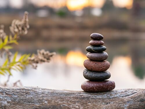 Zen / unsplash / Brad Switzer